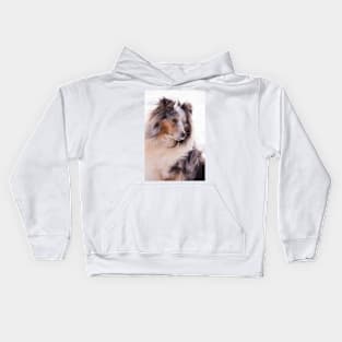 Shetland Sheepdog Portrait Kids Hoodie